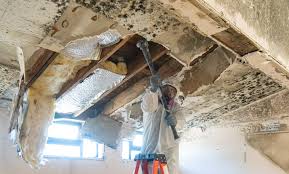 Best Mold Remediation for Vacation Homes  in Gang Mills, NY